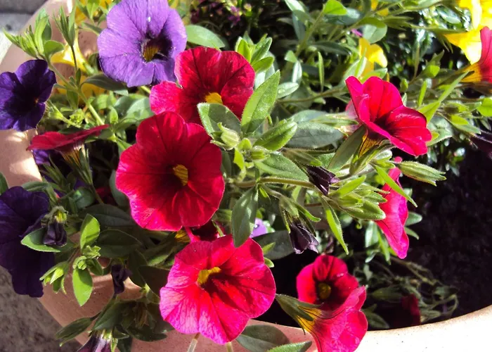 Gaestehaus Fischer Apartamento Rotta